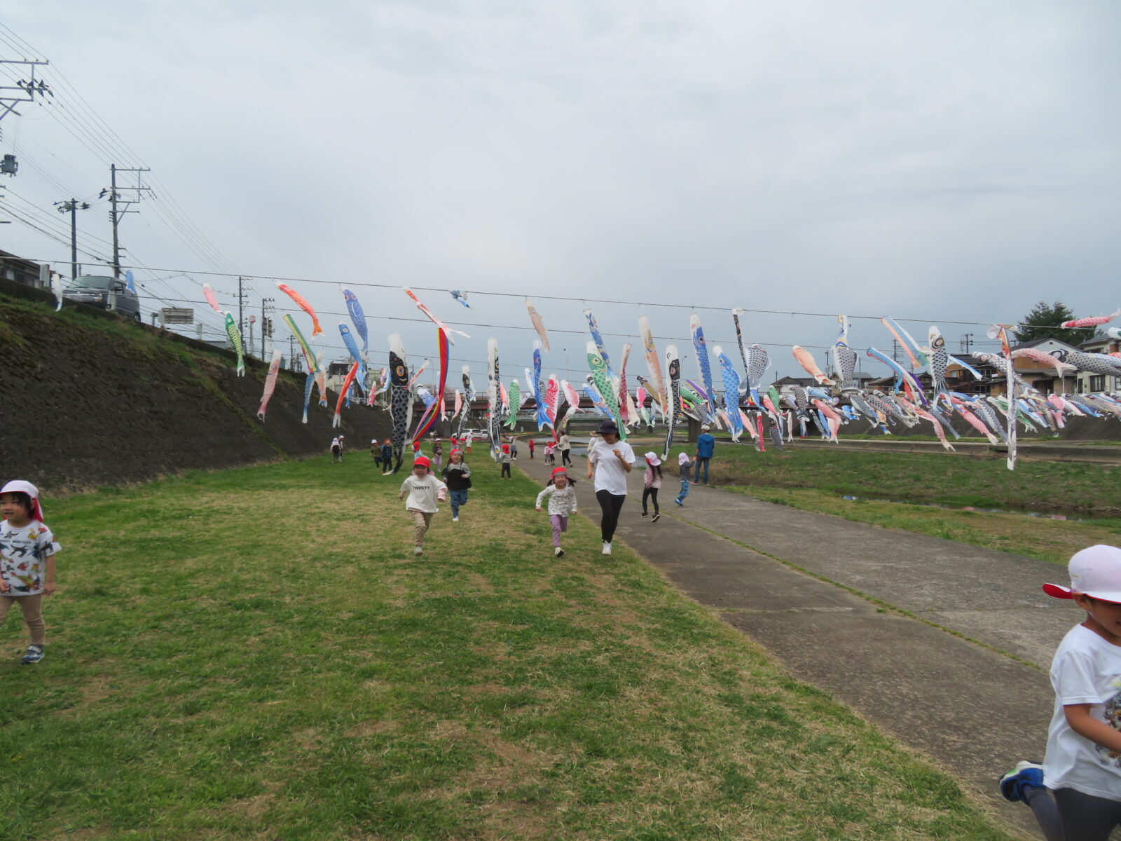 加茂川のこいのぼりを見に行ってきました！